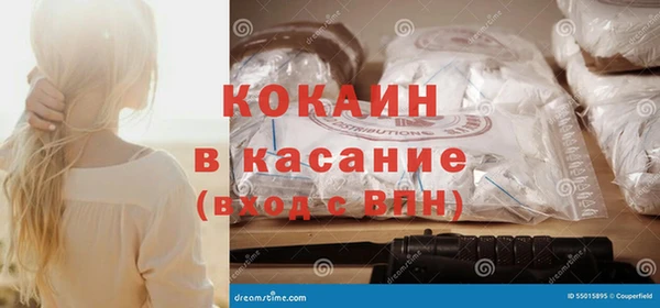 индика Балабаново