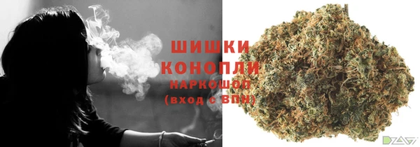 индика Балабаново