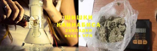 индика Балабаново