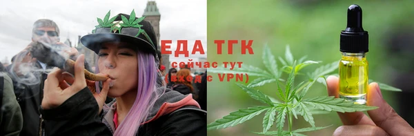индика Балабаново