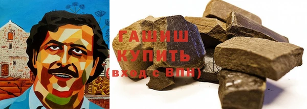 шишки Сатка