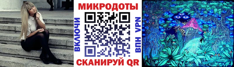 Псилоцибиновые грибы Cubensis  купить наркоту  Черногорск 